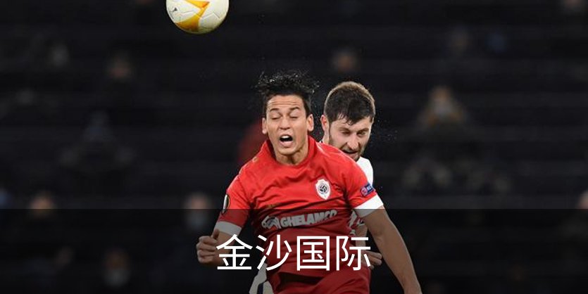 金沙国际概况